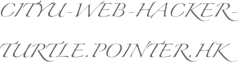 CityU-Web-Hacker-Turtle.pointer.hk