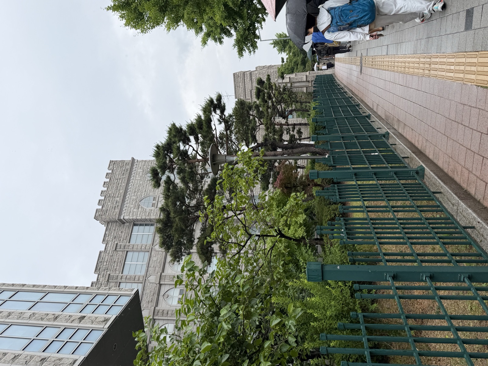 The historic granite main hall of Korea University framed by pines