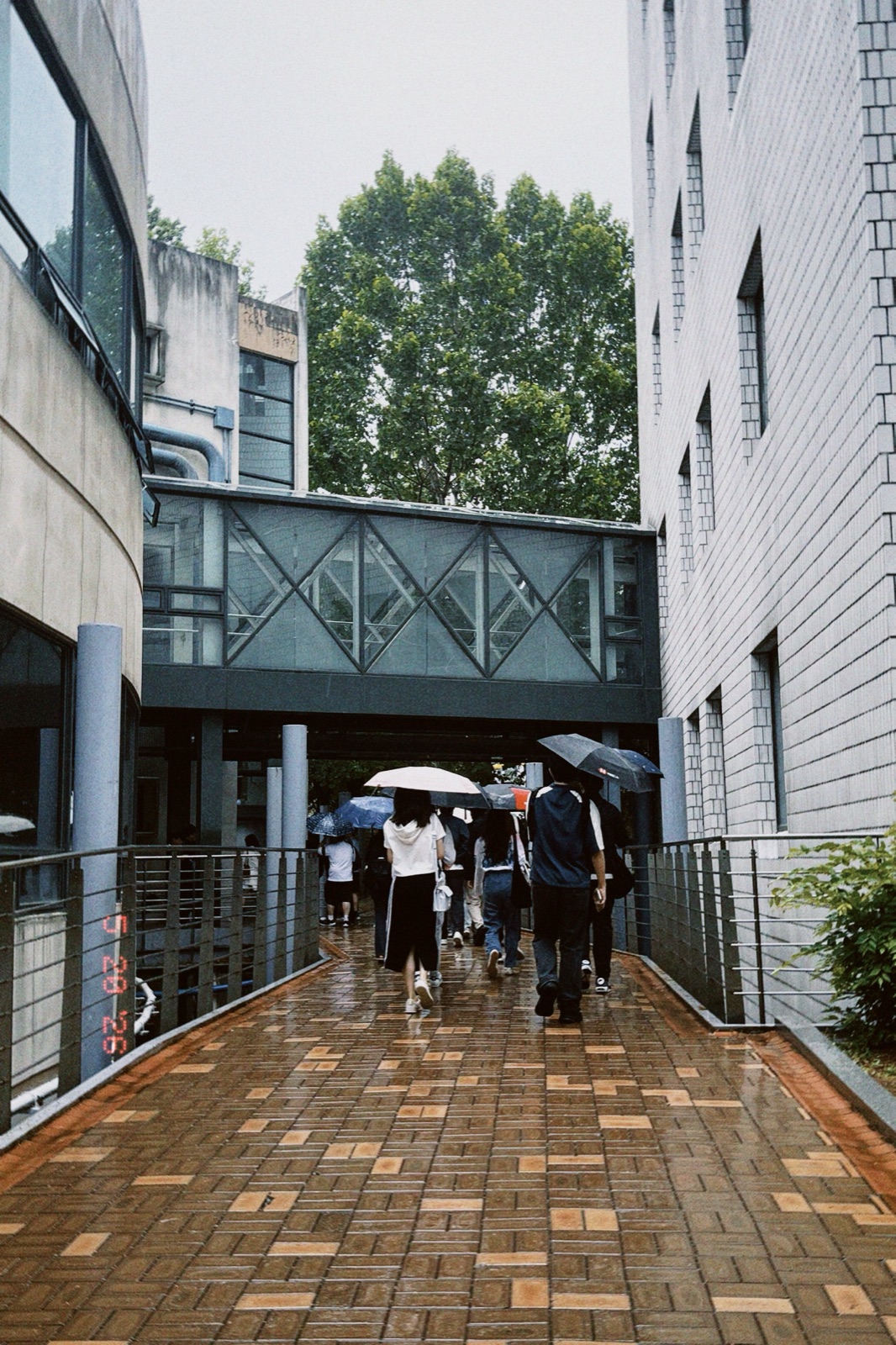 Crossing a covered walkway under umbrellas
