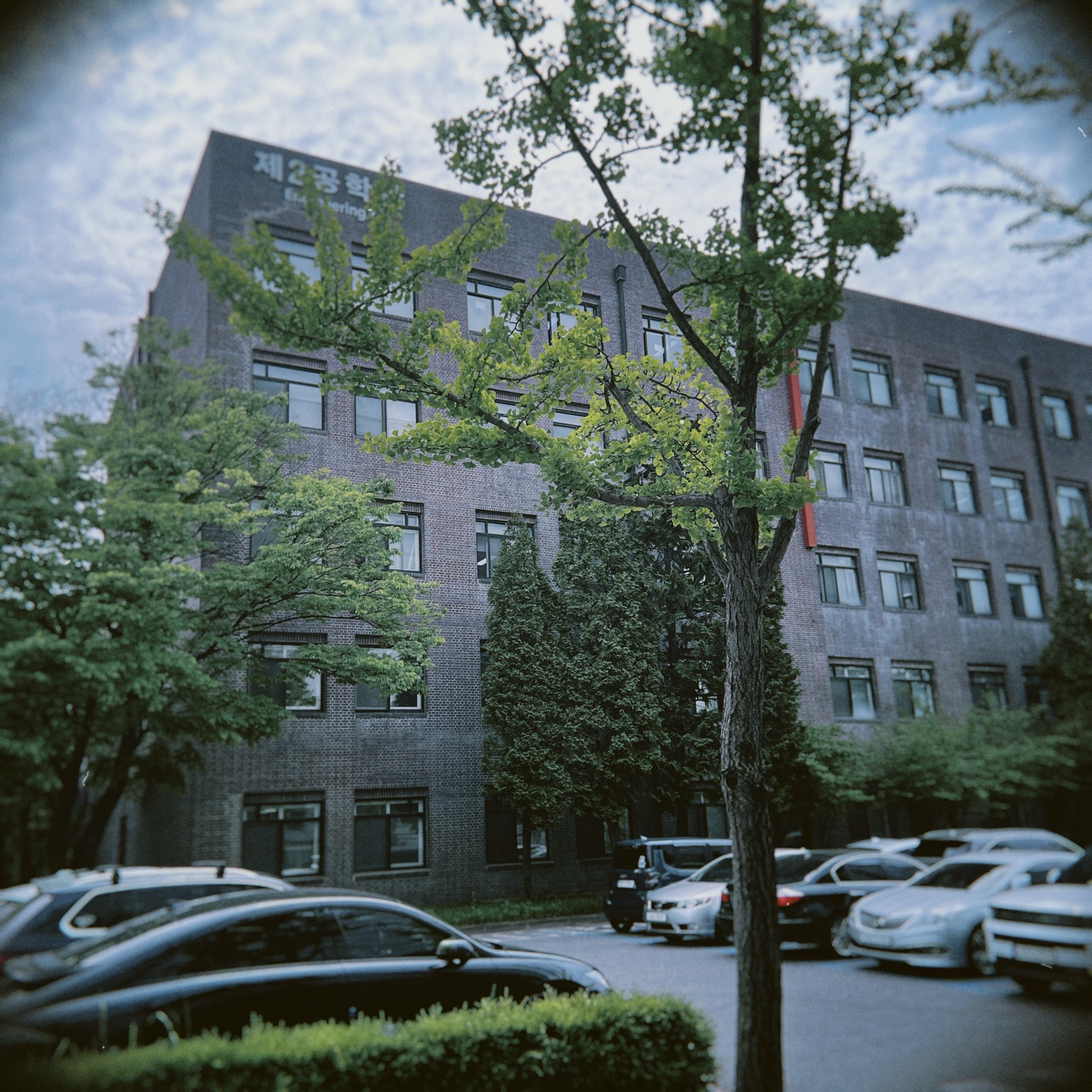 The brick Second Engineering Hall framed by trees