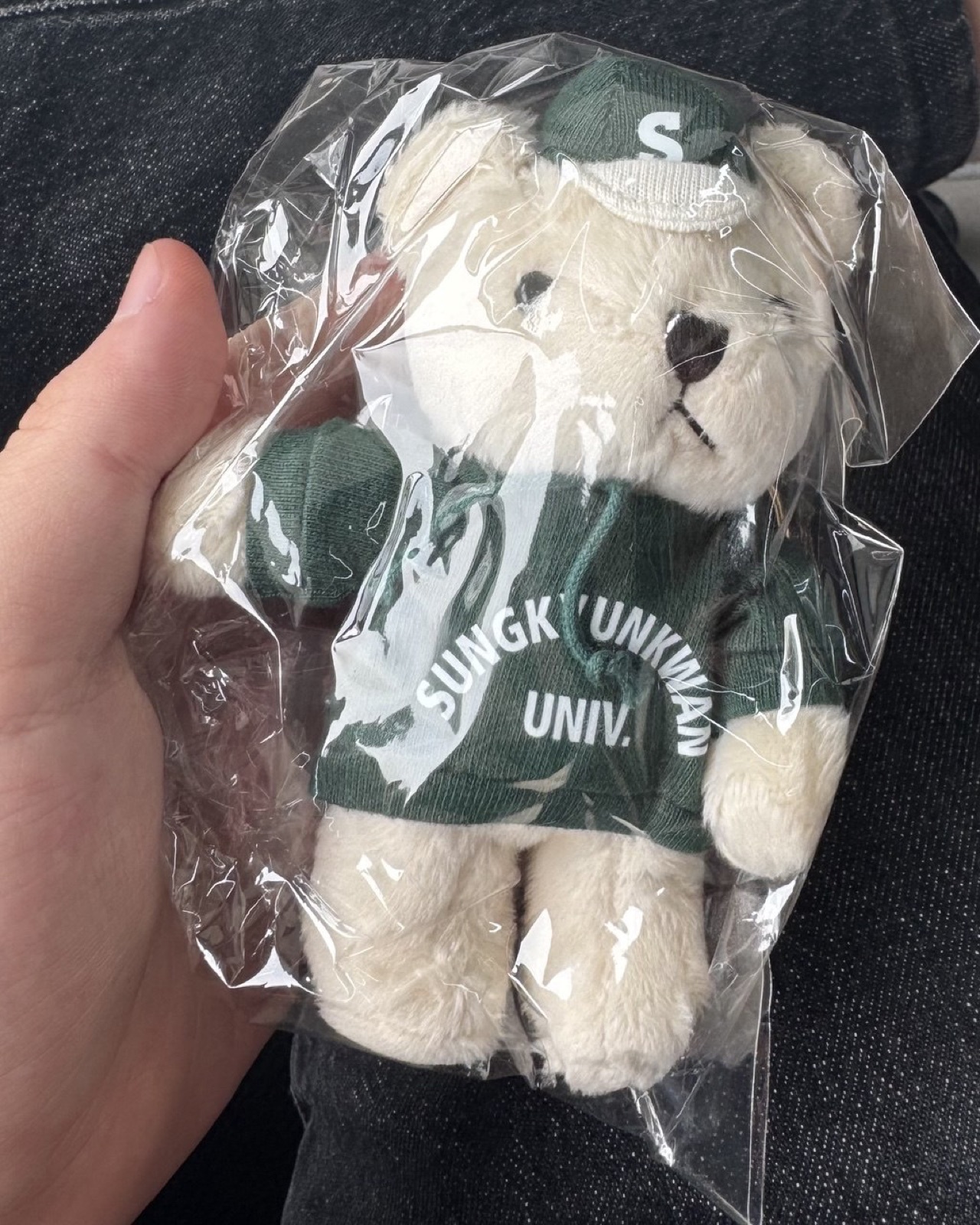A Sungkyunkwan University teddy bear, the souvenir SKKU gave us