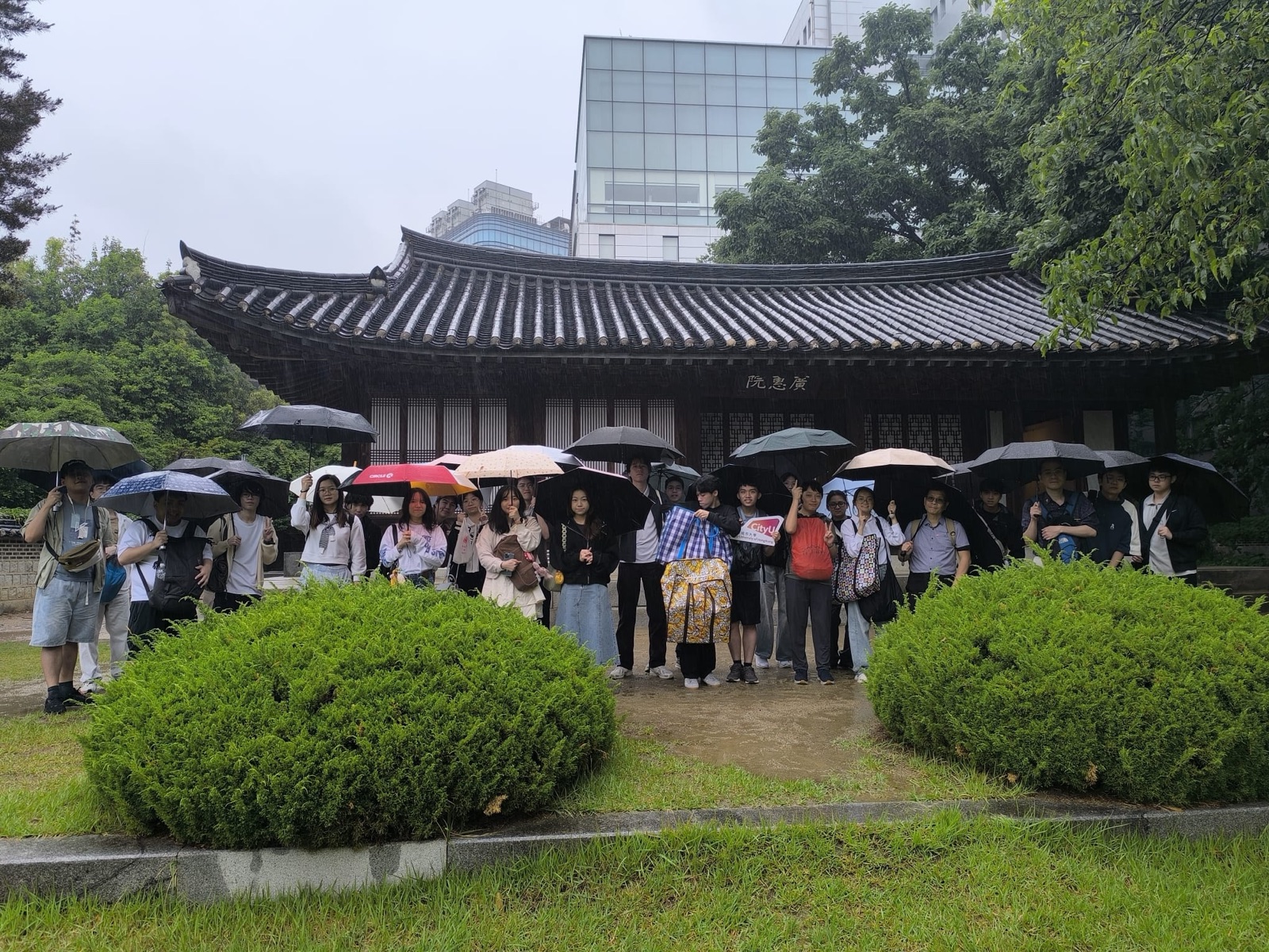 The group gathered by a traditional hanok-style hall, umbrellas up