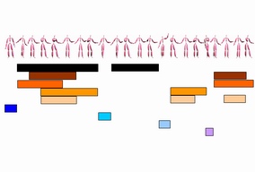 link to the Searching for Repetitive Patterns in 3D Human Motion Captured Data project page