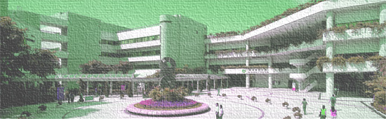 City University of Hong Kong